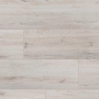 55955 Дуб Аврора