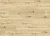8310 Дуб Шампань