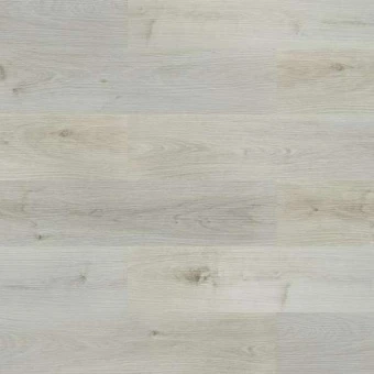 8813 Дуб дальневосточный