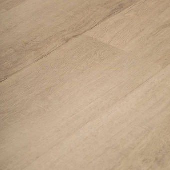 4205 Дуб Эльбрус