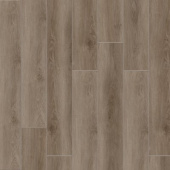 Дуб Чаннел 2008