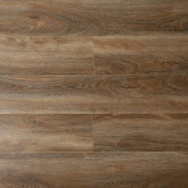 16188 Дуб Савойя