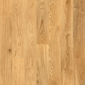 55675 Дуб Роверто