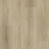 9517 Дуб Тэйлор