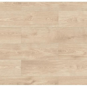 56693 Дуб Ларедо / Laredo Oak