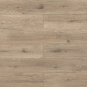 D51037 Дуб Ормонд