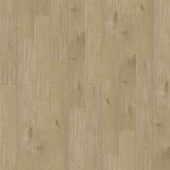 6112 Дуб Бельгард