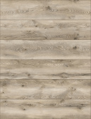 55274 Дуб Санторо