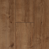  FP1104 Дуб Кенигсбер