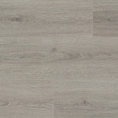 NC81 Дуб Вальфорд