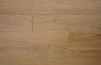 Дуб Авиньон