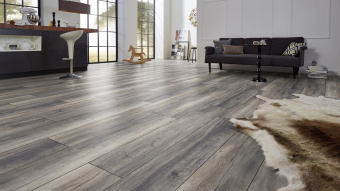 3572 Дуб портовый серый