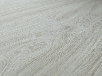 207 Дуб Ротшильд