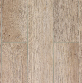 Дуб Стоктон