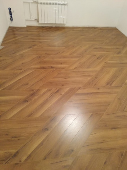 505 Дуб Липталь