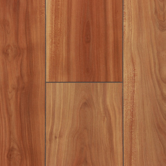 Каньон слива