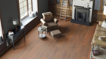 Дуб медовый шервуд