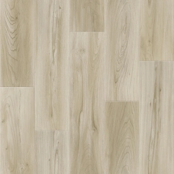 DISCOVERY MEDELL 1; MEDELL 2