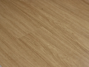 Дуб Астраханский FH-105