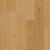 AVSPU40320 Дуб Береговой медовый