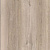 SF02 Дуб Миланский