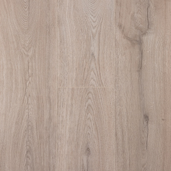 BLA009 Дуб Риволи