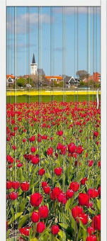 Браво-008 (цвет Т - 2)