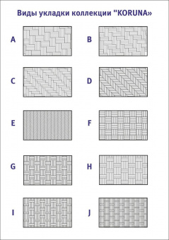 820  Дуб Брно