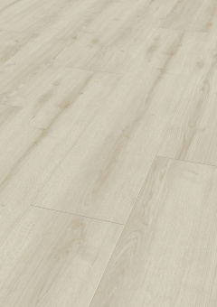 4684 Дуб Арагон