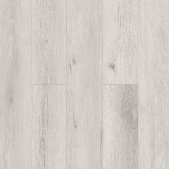 LF110-01 Камден 