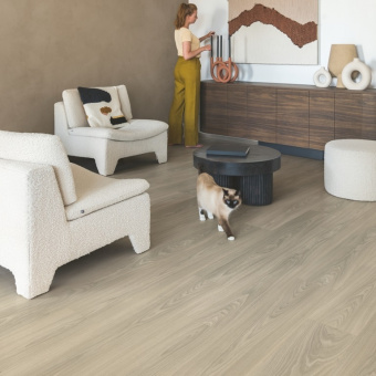 CLH 5814 Дуб серый тихоокеанский