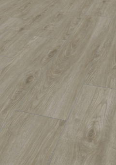 4691 Дуб Севилья