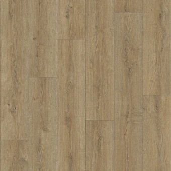 PRAKTIKA  BRUNO 1; BRUNO 2