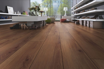 D80612 Дуб Норфолк кофе