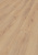 D80592 Дуб Норфолк