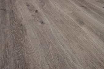 Дуб Хельсинки