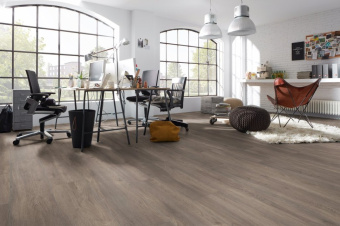 D6013 Дуб Эльба серебряный