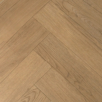 Дуб Агассис R2024