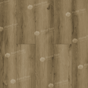 ECO 24-8 Дуб Эскейп