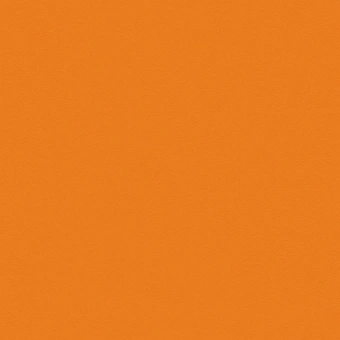 OMNISPORTS ACTION 65 ORANGE