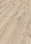 D40772 Дуб Горный песочный