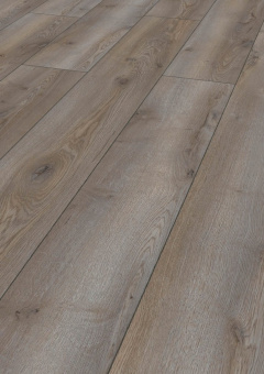 D40762 Дуб Горный титановый