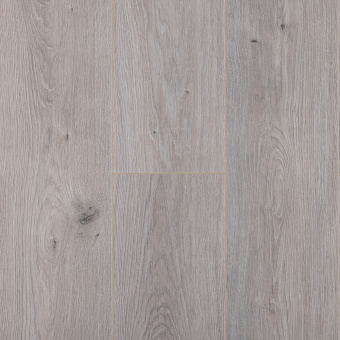 732 Дуб Танзания