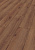 D80612 Дуб Норфолк кофе