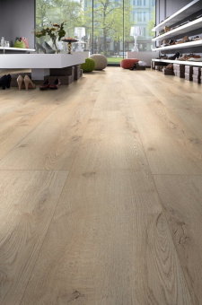 D40772 Дуб Горный песочный