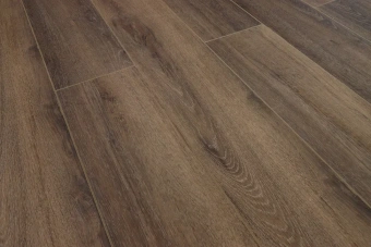 Дуб Обыкновенный