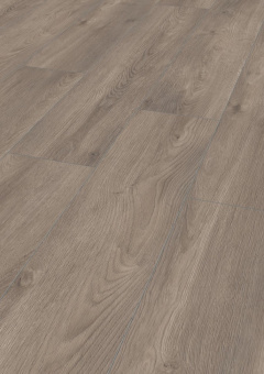 D6013 Дуб Эльба серебряный